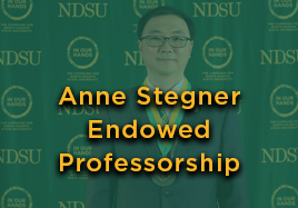 Anne Stegner Endowed Professorship