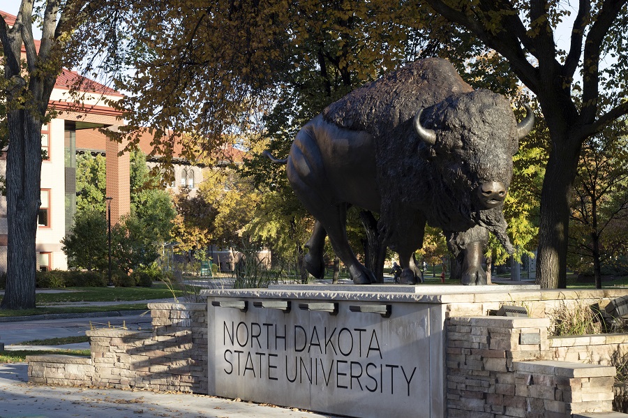 Photo: Bison statue on NDSU campus