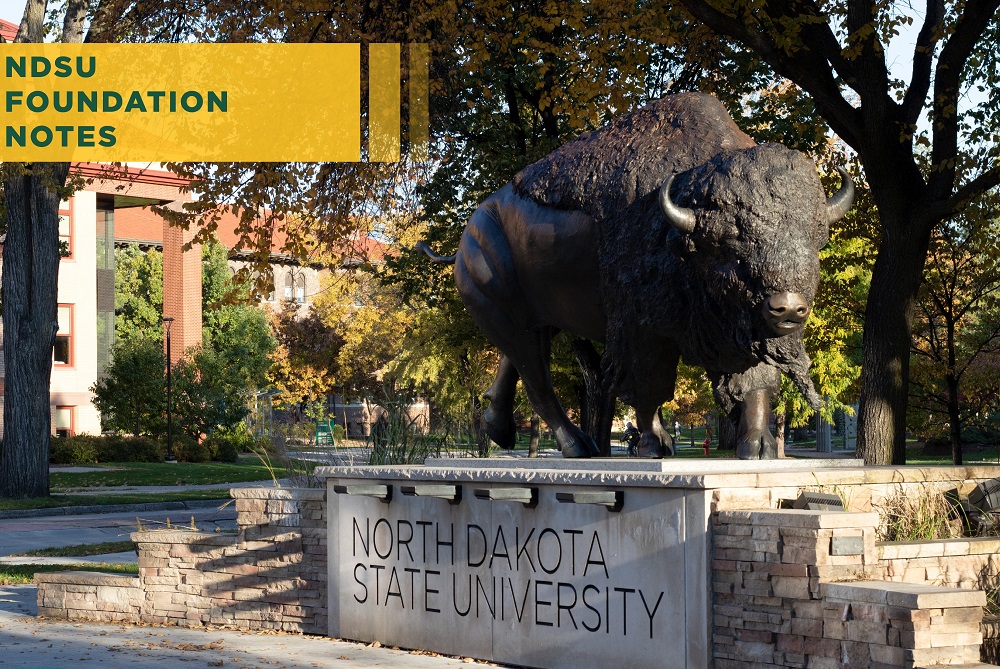 Photo: Bison statue on NDSU campus